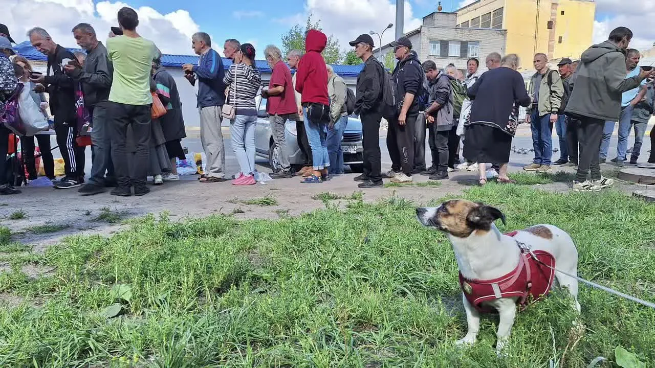 Замечают ли люди чужое страдание? Глухи они к нему или чутки? Осталось ли мил…