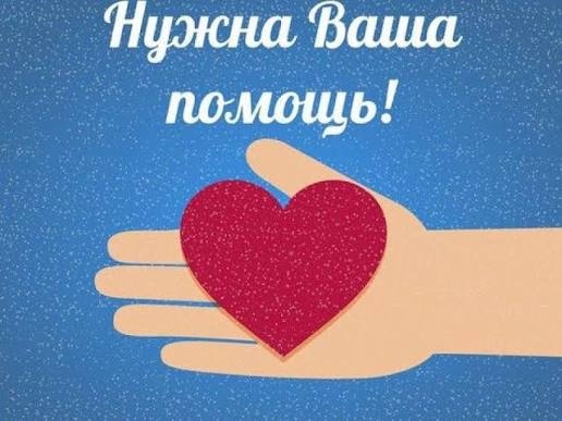 Друзья, мы обращаемся к вам за помощью!