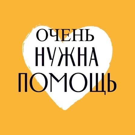 Купите, пожалуйста, нам посуду ❣️🙏🏼