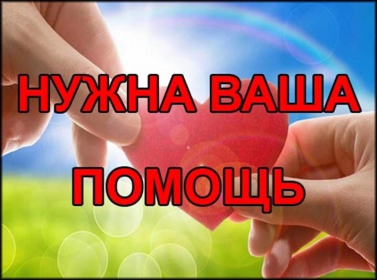 Дорогие друзья, мы вас так часто о чём-то просим, что здесь не сразу решились…